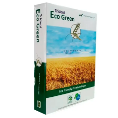 ECOGREEN/COPYPAPER Папір д/принтера А4 500 листів